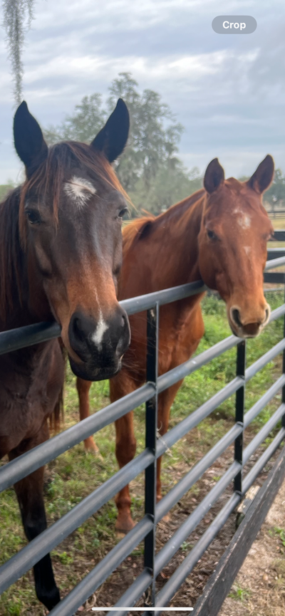 Spirit Fest in Ocala at the World Equestrian Center Sept 14 & 15